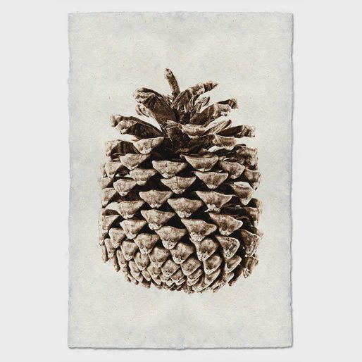 Print Ponderosa Pine Black on Linen Shadow Box