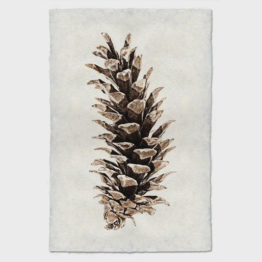 Print  Western White Pine black on linen