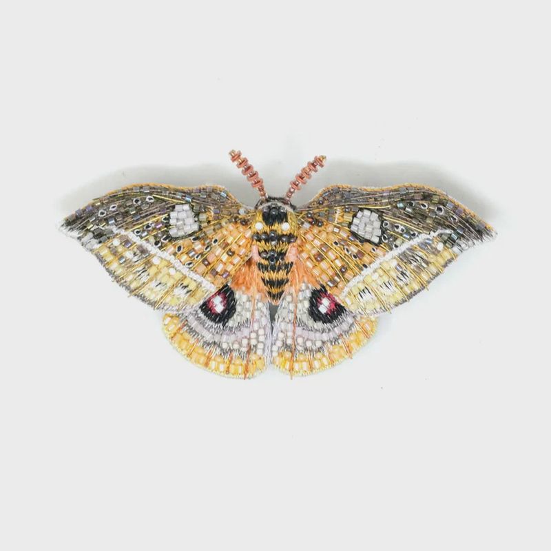 Emperor Automaria Moth Brooch Pin