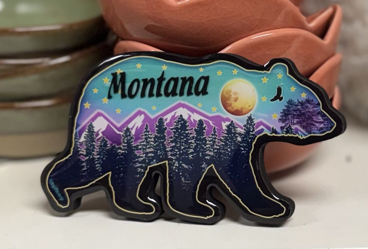 Magnet- Night Sky and Mountains Bear