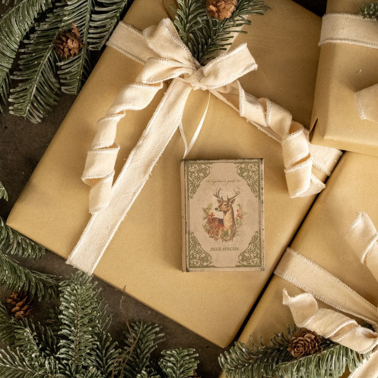 Deer Journal Ornament