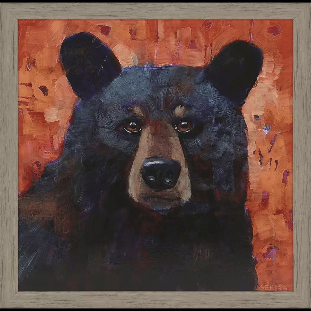 Laid Back Black Bear - Art Print, Framed