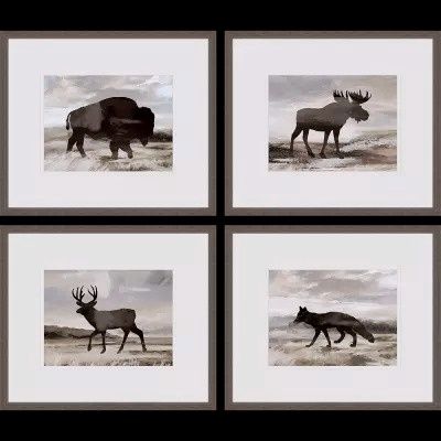 Wilderness Explorer - 4 Separate Northwest Animals, Framed Prints