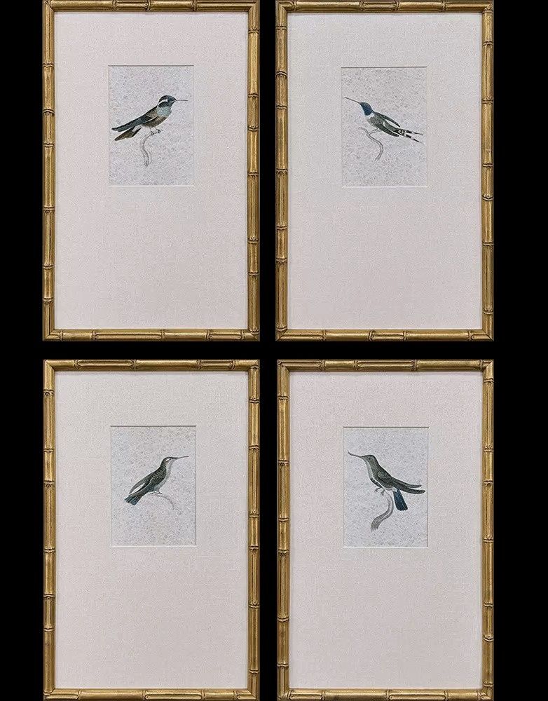 Vintage Hummingbird Prints - 4 Different Birds