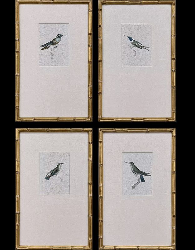 Vintage Hummingbird Prints - 4 Different Birds