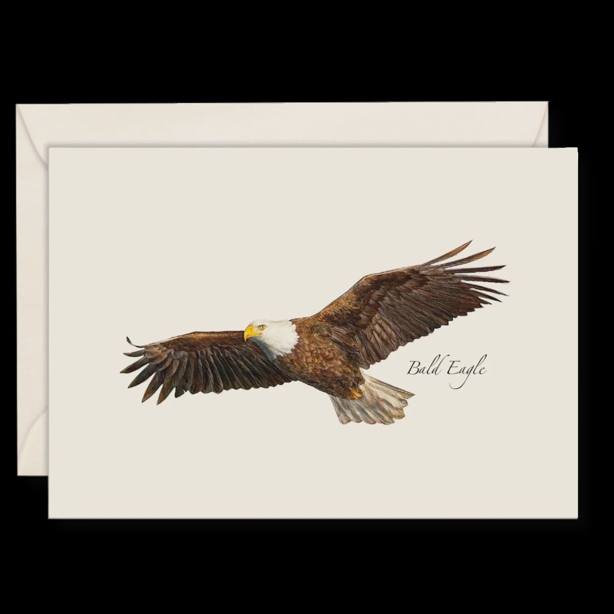 Bald Eagle Notecards
