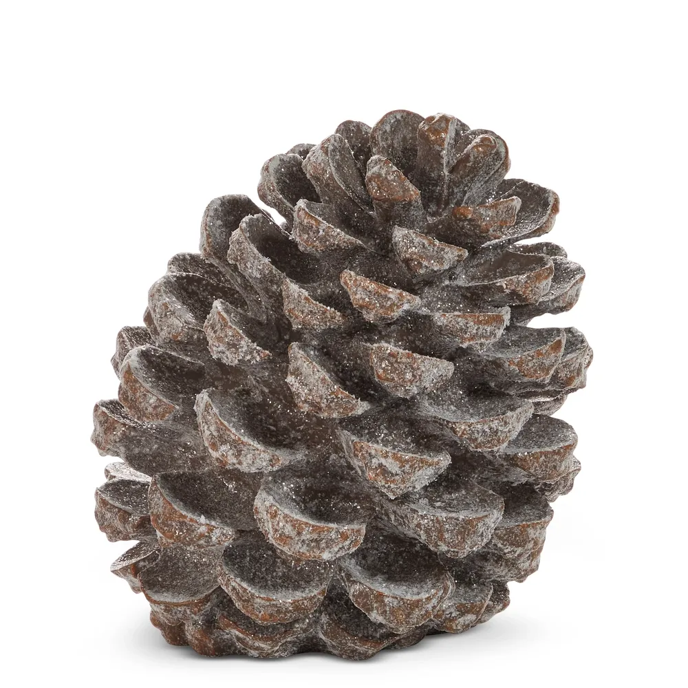 Huge Pinecone