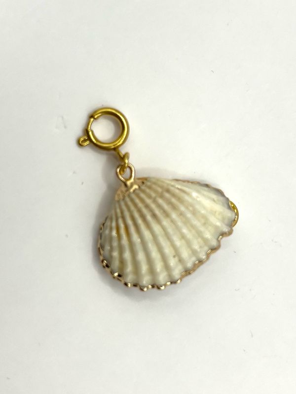 Bedel Beautiful Shell