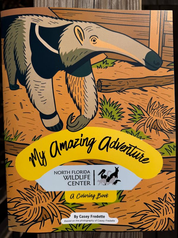 My Amazing Adventure Coloring Book