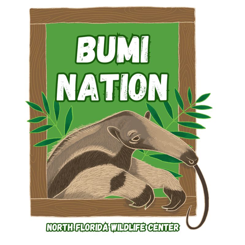 Large Bumi Nation Sticker (Pack of 3)