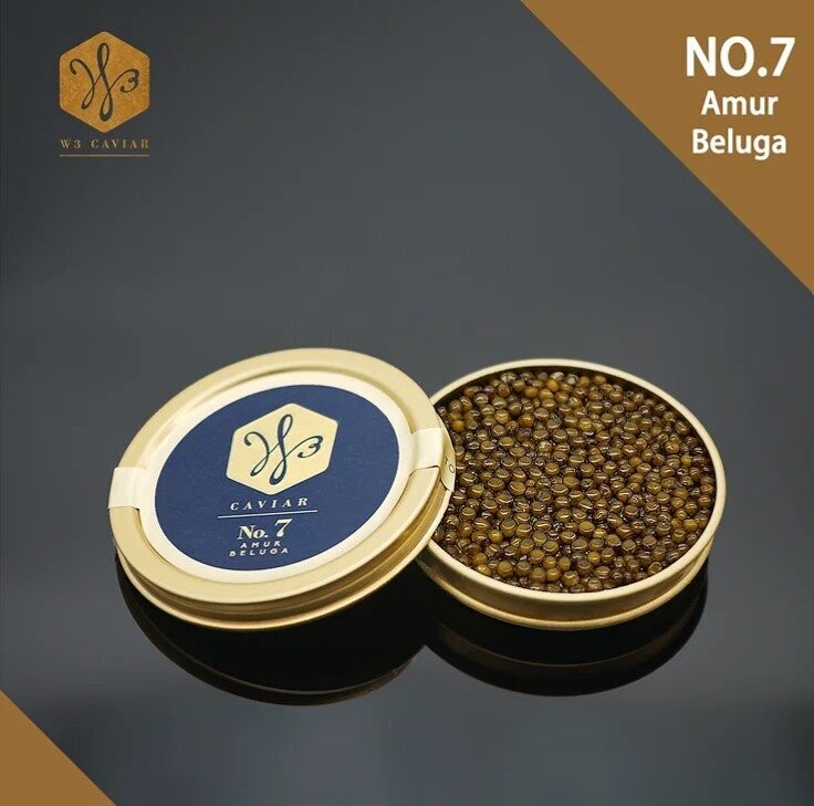 No. 7 Amur Beluga (30G)
