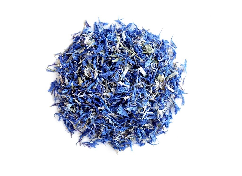 Blue Cornflower, Size: Small