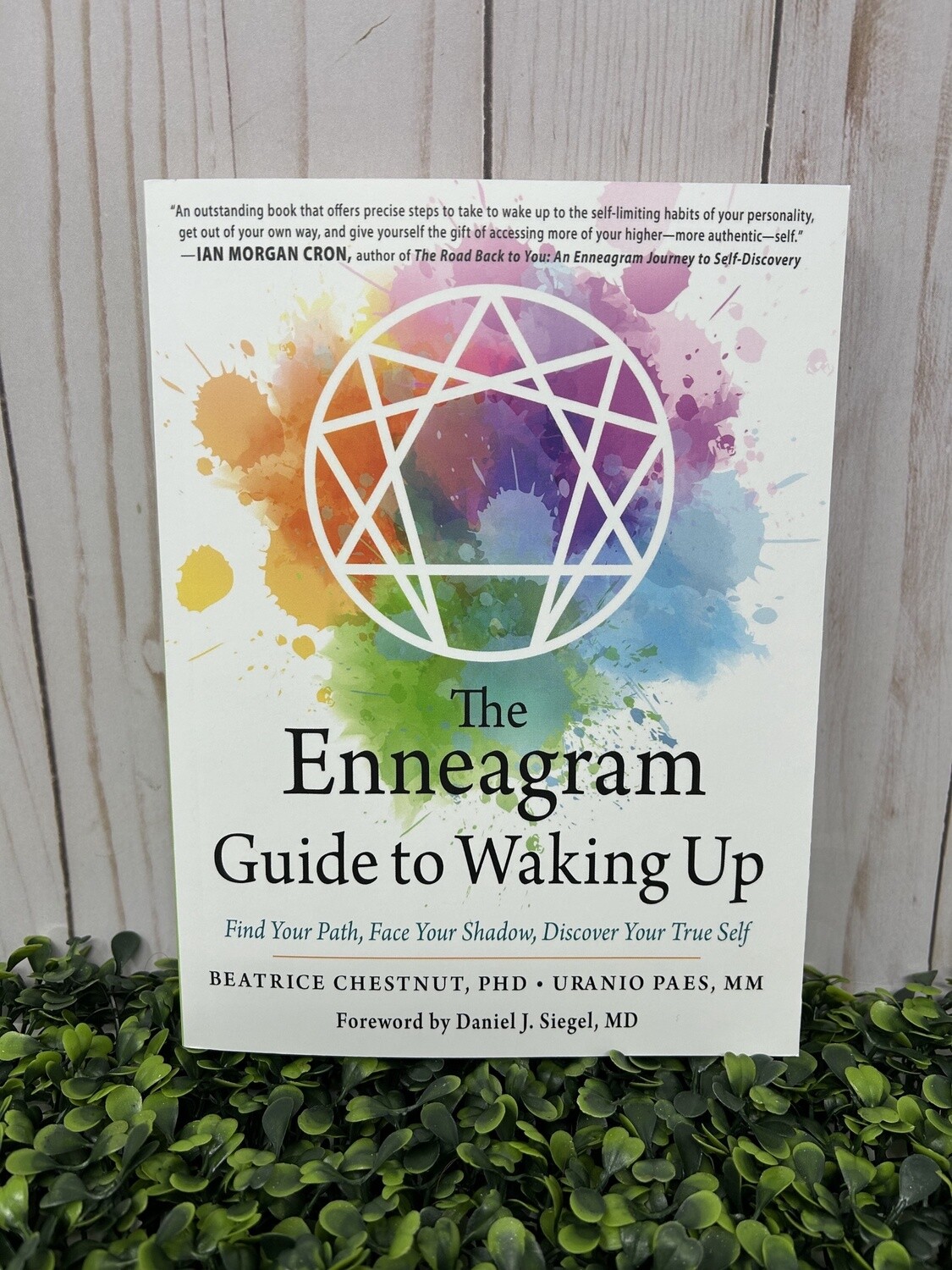 Enneagram Guide of Waking, The
