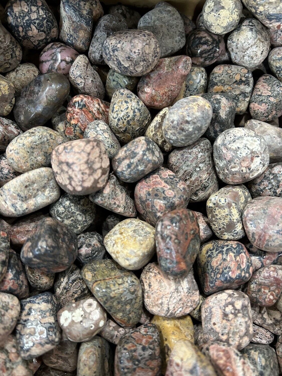 Leopard Skin Jasper Tumble