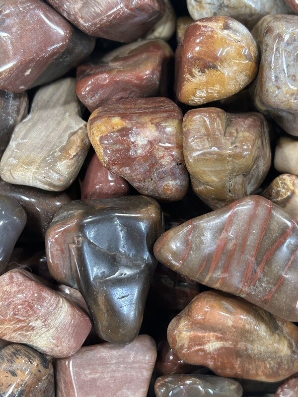 Petrified Wood Tumble