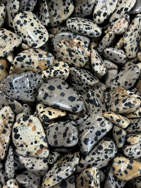 Dalmation Jasper Tumble