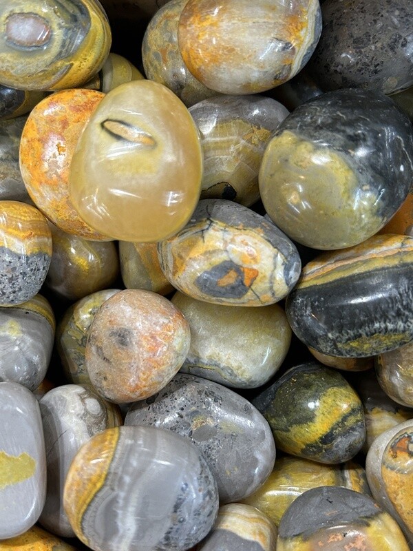 Bumblebee Jasper Tumble
