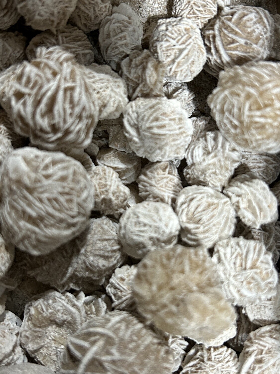 Desert Rose Raw