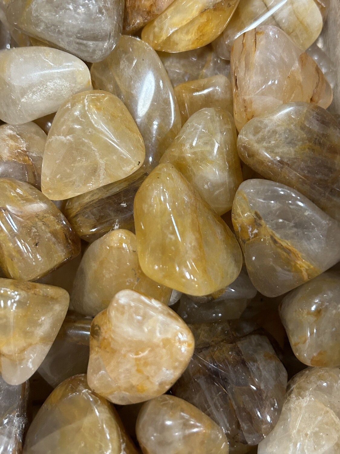 Golden Healer Tumble