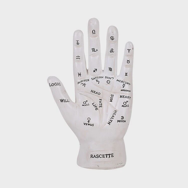 Fortune Teller Palm (White)