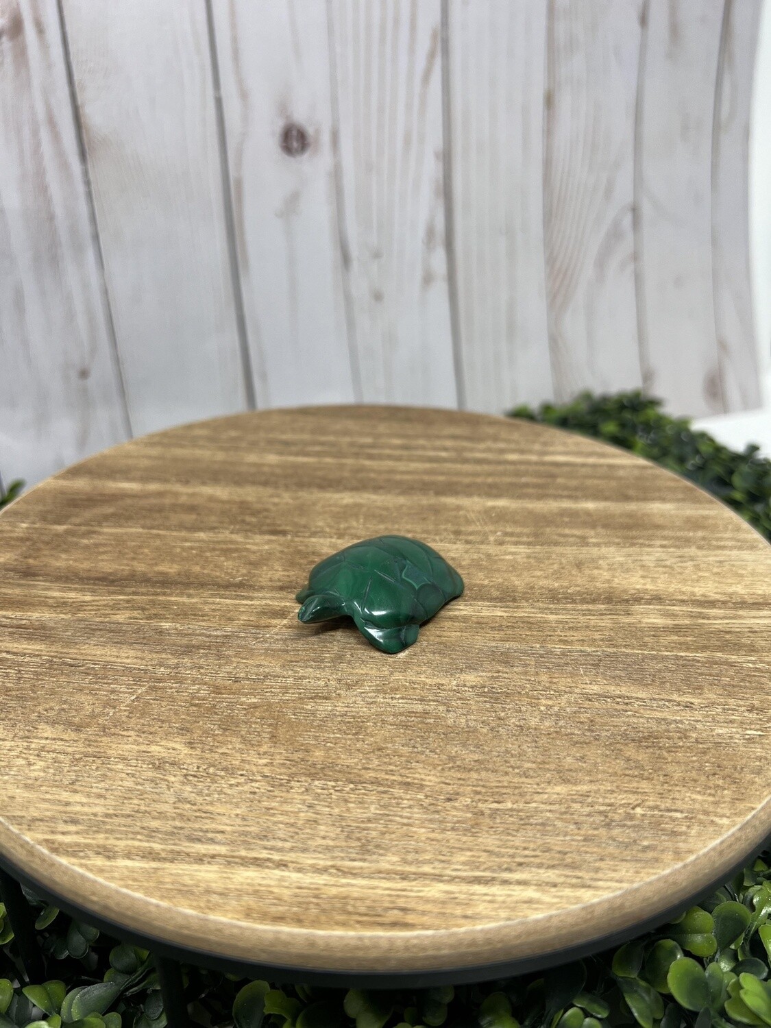 Malachite Animal-44
