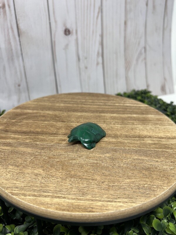 Malachite Animal-44