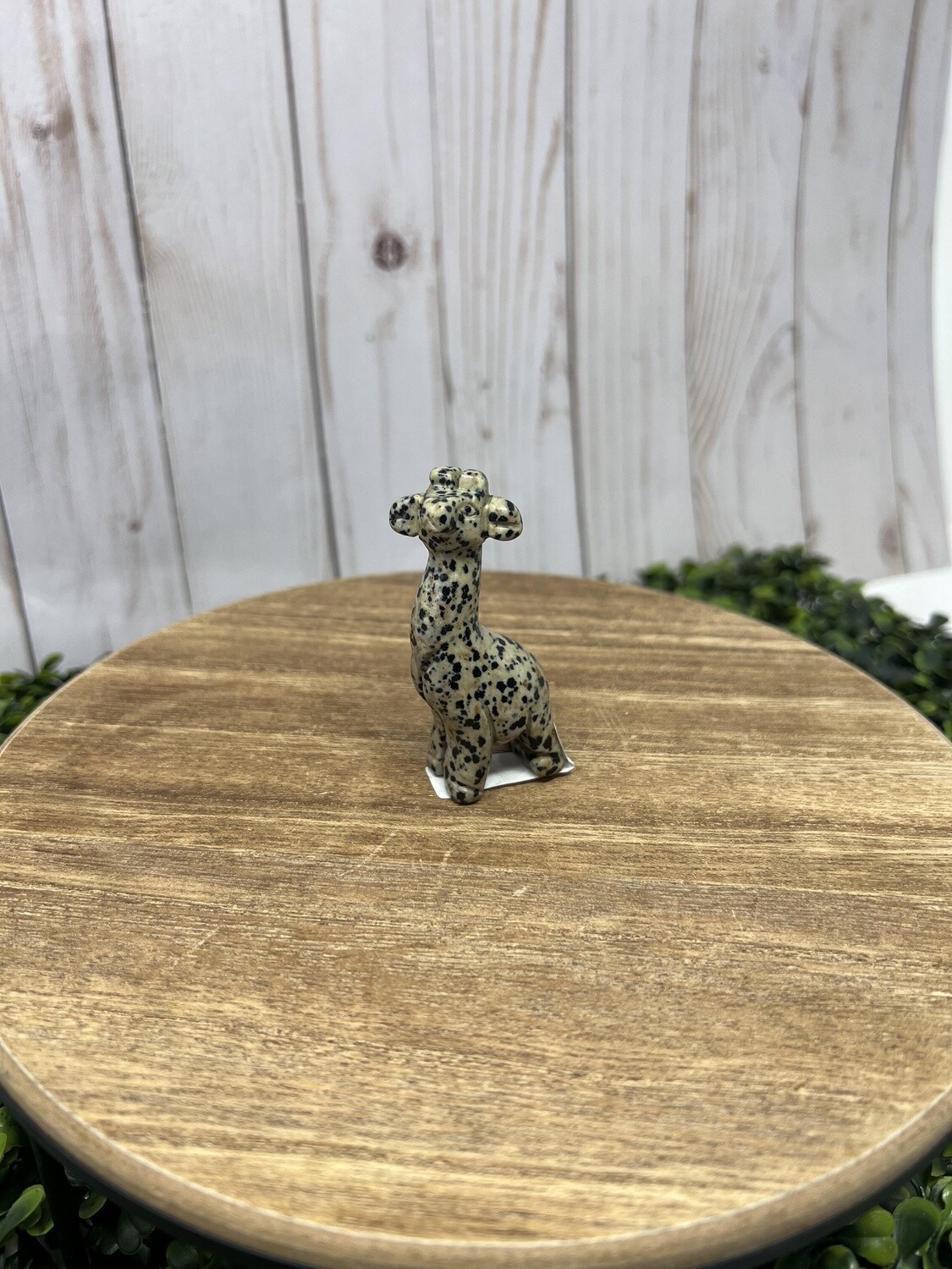 Crystal Giraffe - Dalmation Jas