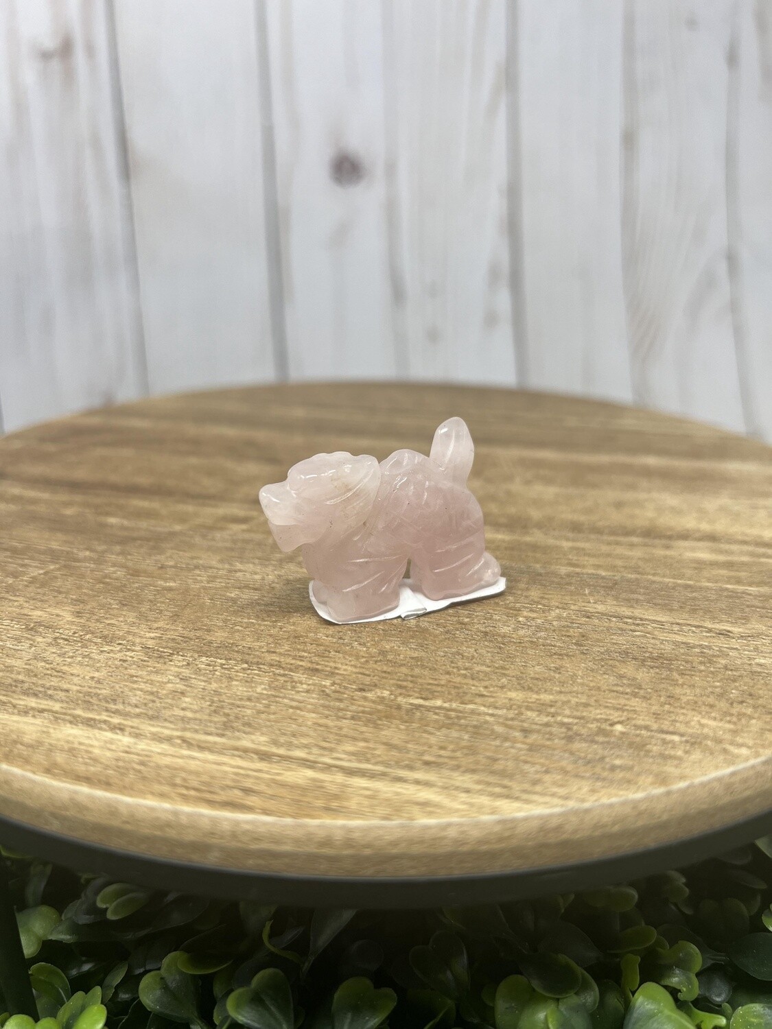 Crystal Dragon - Rose Quartz