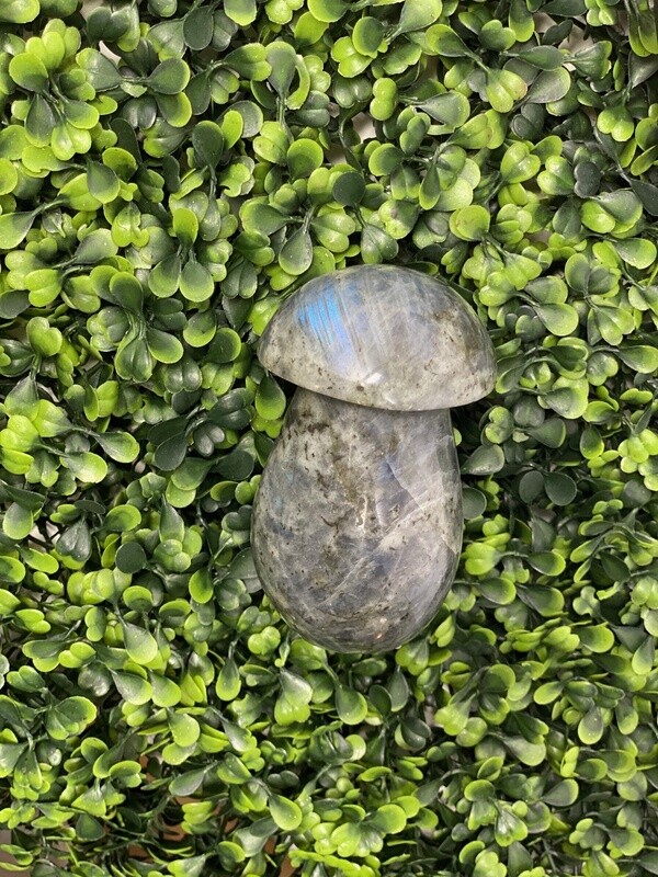 Labradorite Mushroom 3&quot;