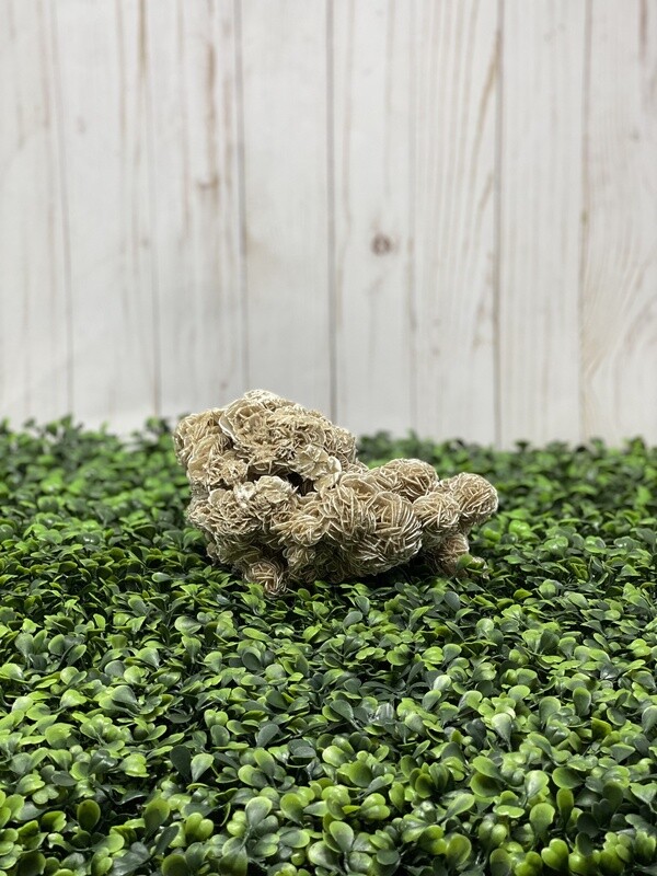 Desert Rose Cluster-100