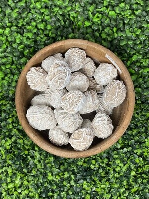 Desert Rose 2-3&quot;