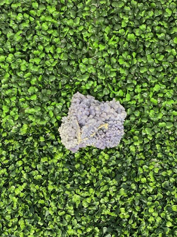 Grape Agate-320
