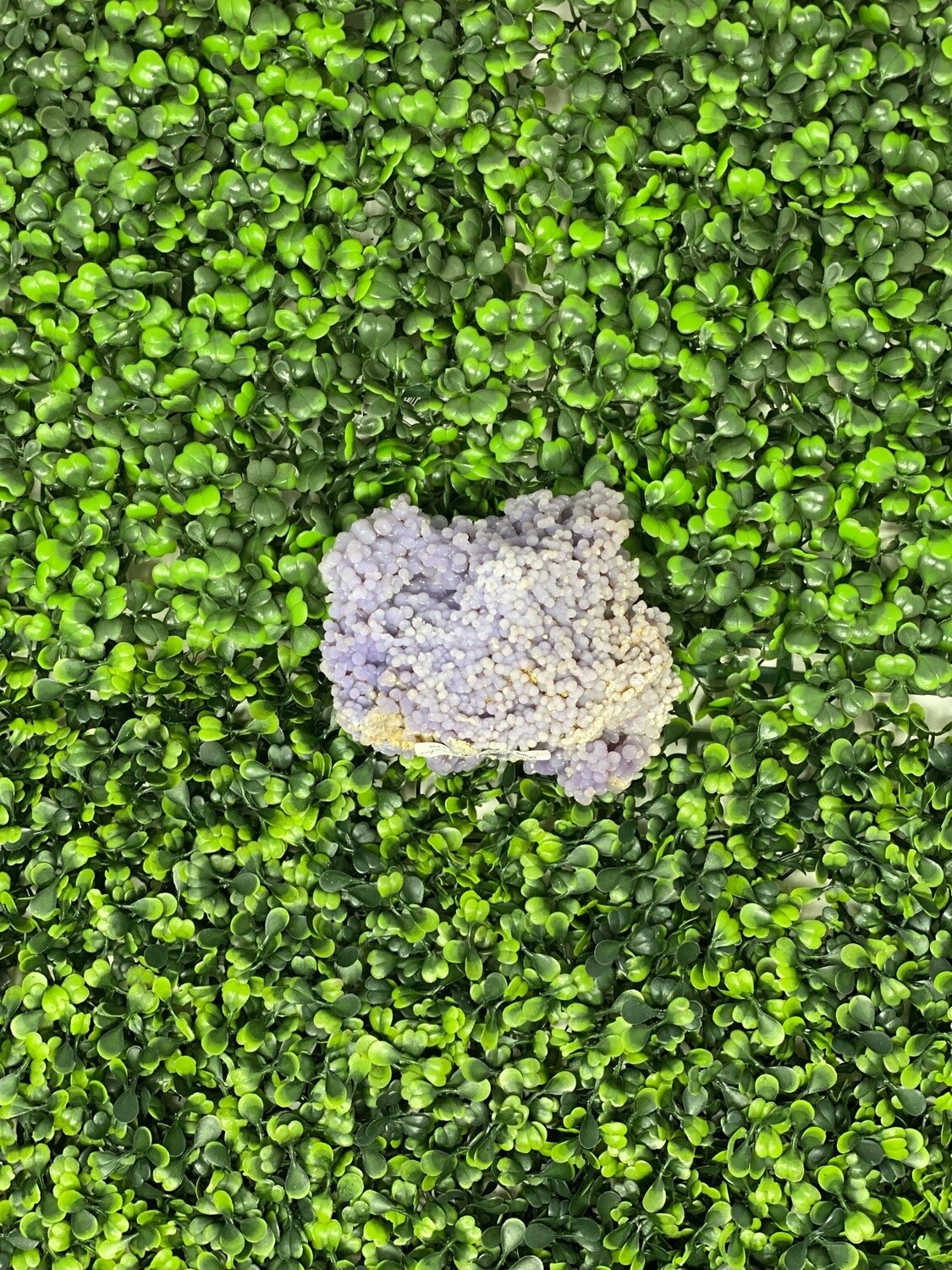 Grape Agate-320