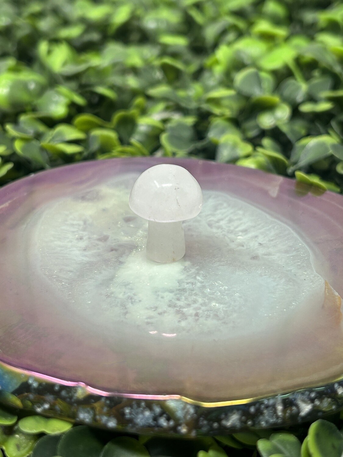 Crystal Mushroom Mini, Crystal: Variety