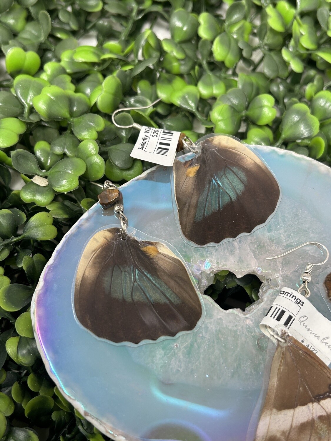 Butterfly Wing Earrings, Type: 4