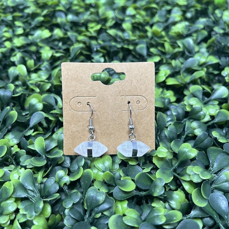 Double Term Crystal Earrings