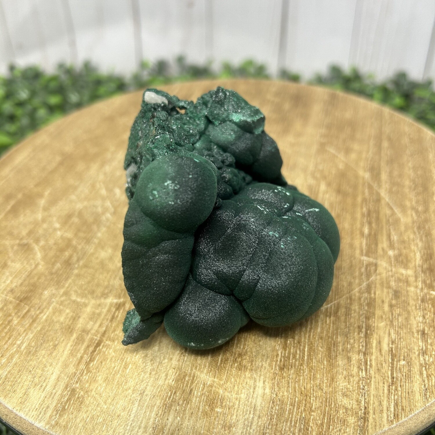 Velvet Malachite-88