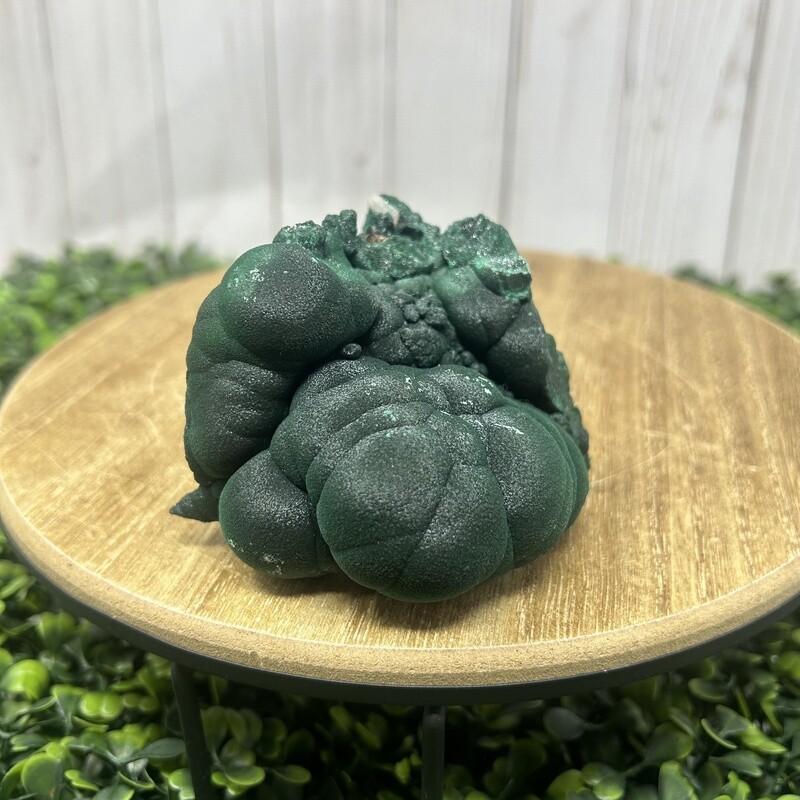 Velvet Malachite 4"