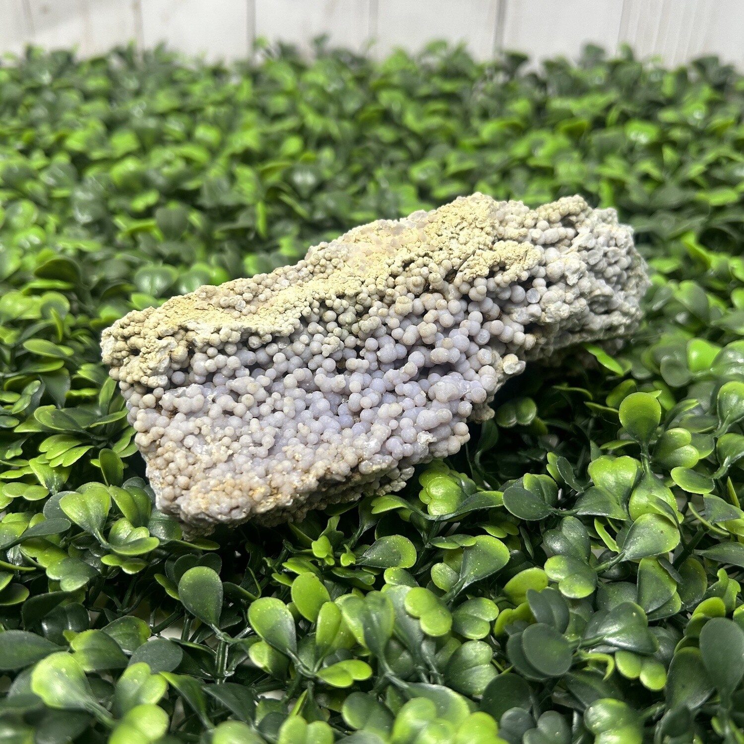 Grape Agate-40