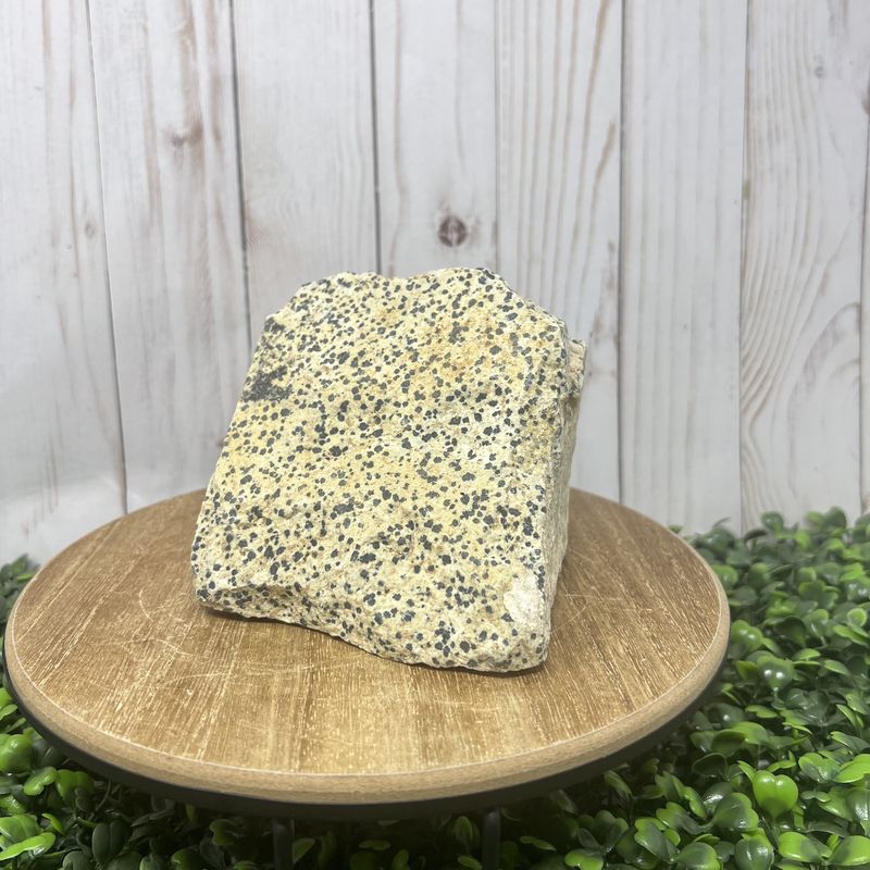 Dalmation Jasper-120