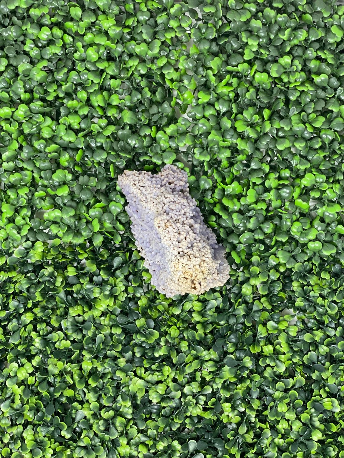 Grape Agate-160