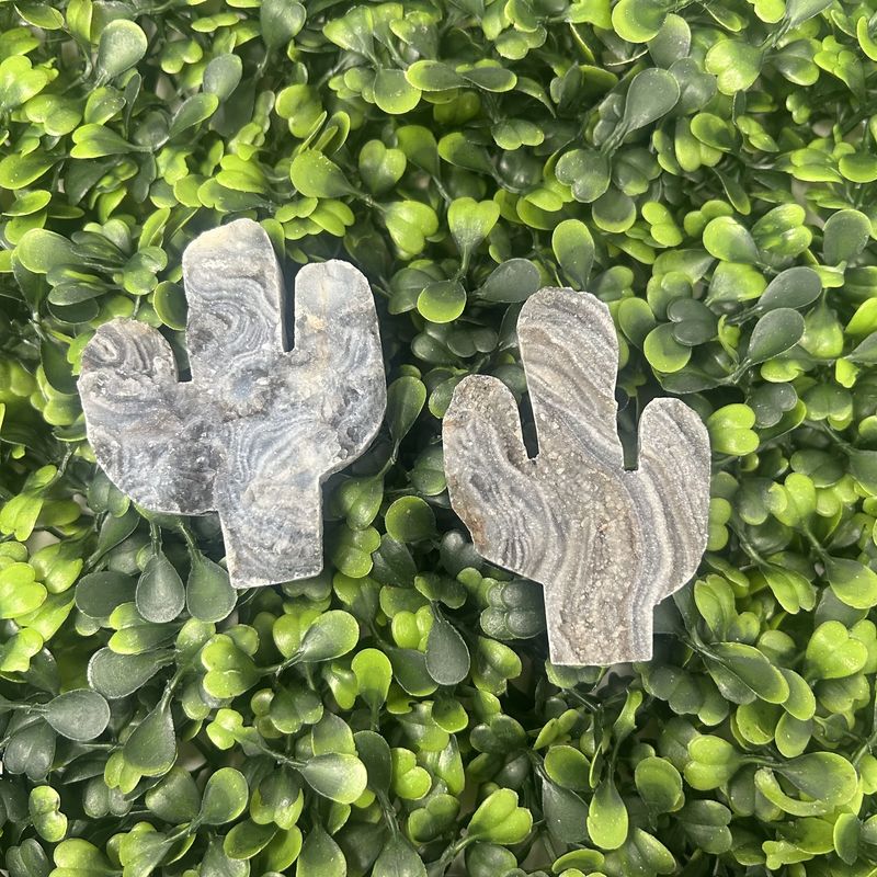 Druzy Cactus 2.5x2"