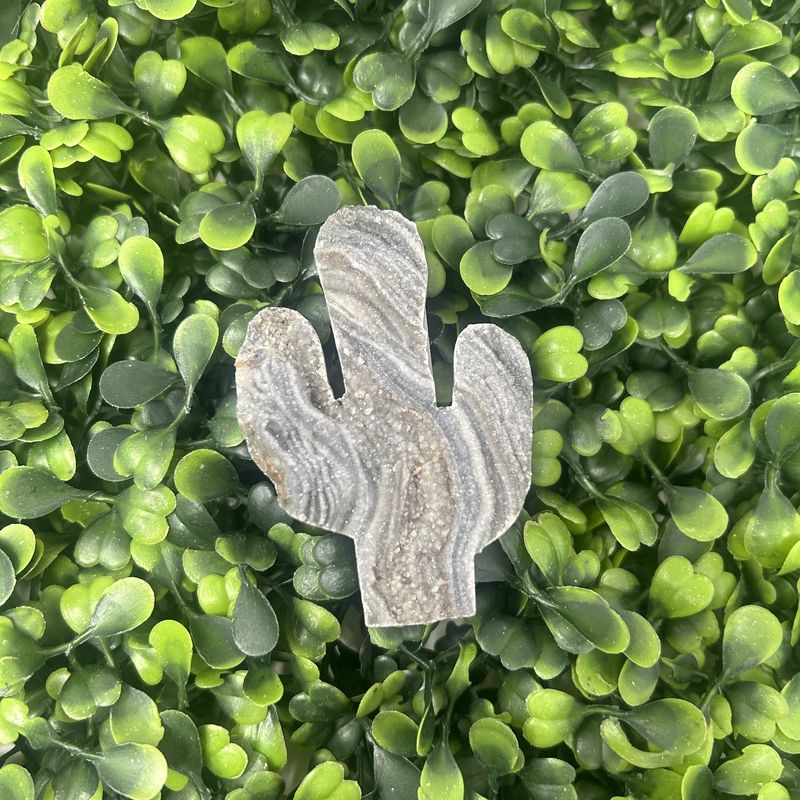Druzy Cactus 2.5x2"