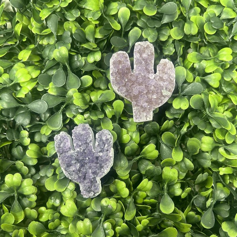 Amethyst Druzy Cactus 2x2