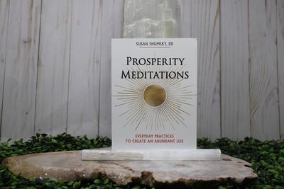 Prosperity Meditations