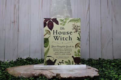 The House Witch