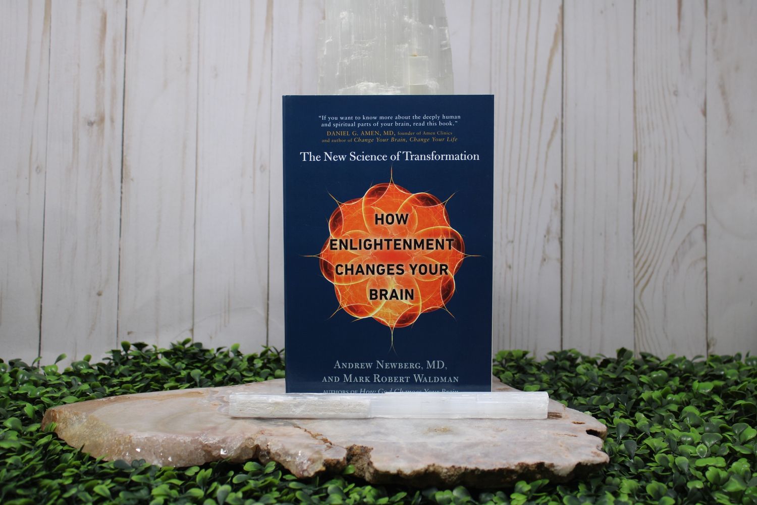 How Enlightenment Changes Your Brain