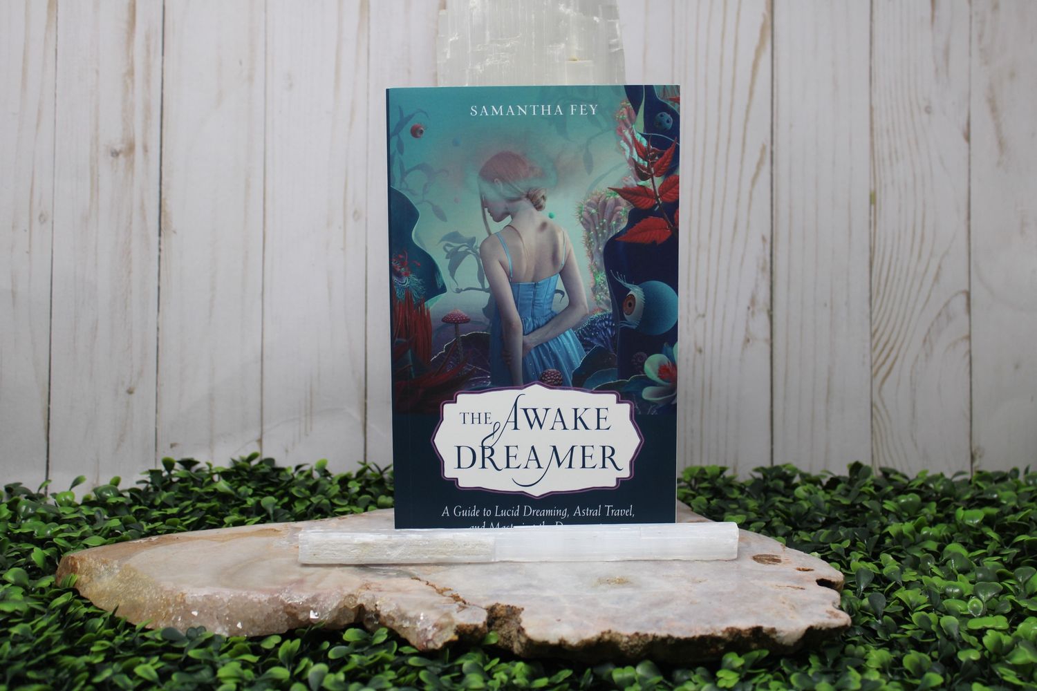 The Awake Dreamer