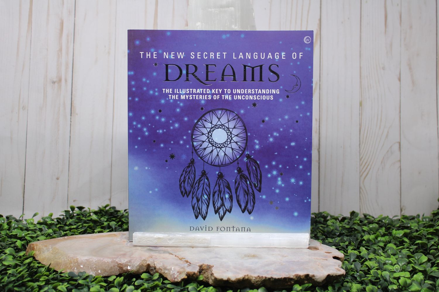 The New Secret Language of Dreams
