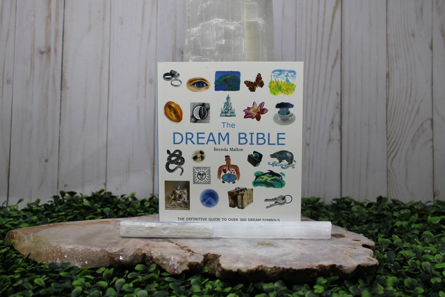 Dream Bible, The